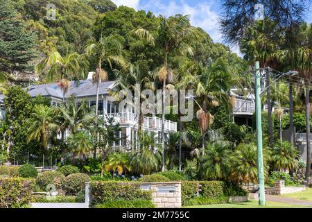 Grandi case indipendenti a Bayview Sydney, circondato da lussureggianti piante tropicali e giardini, Sydney, NSW, Australia Foto Stock