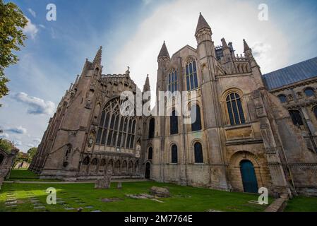 Una bella scena della Cattedrale Ely in stile gotico circondata da alberi e erba verde durante il giorno nella Chapter House, il College, Regno Unito Foto Stock