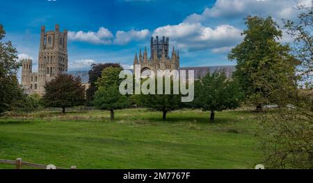 Una bella scena della Cattedrale Ely in stile gotico circondata da alberi e erba verde durante il giorno nella Chapter House, il College, Regno Unito Foto Stock