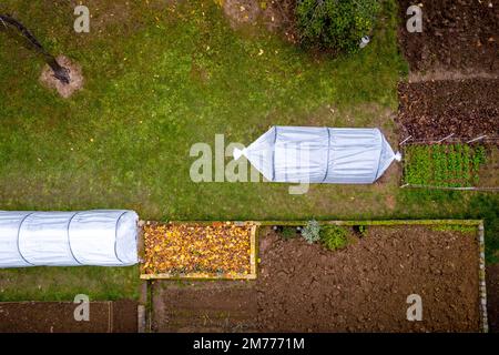 Veduta aerea delle serre a tunnel basso del fai da te in un giardino di casa. Polytunnel, giardino autunnale, clima freddo protezione delle colture sfondo. Foto Stock