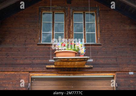 Vaso da fiori su un davanzale con facciata in legno Foto Stock