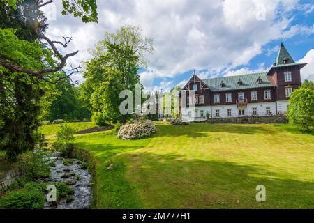 Karlova Studanka (Bad Karlsbrunn) : Villa Vlasta (1893–1894, ex Villa Wilhelm) in , Moravskoslezsky, Regione Moravo-Slesiana, Mährisch-Schlesis Foto Stock