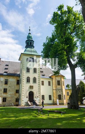 Rymarov (Römerstadt) : Castello di Janovice in , Moravskoslezsky, Regione Moravo-Slesiana, Regione Mährisch-schlesische, Ceco Foto Stock