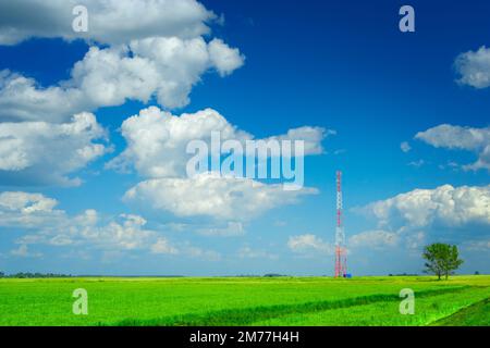Torre della comunicazione mobile su un campo Foto Stock