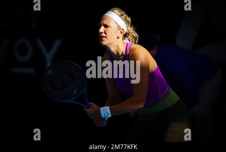 Victoria Azarenka della Bielorussia in azione durante la quarta finale del torneo di tennis 2023 di Adelaide International 1, WTA 500 il 6 gennaio 2023 ad Adelaide, Australia - Foto: Rob Prange/DPPI/LiveMedia Foto Stock