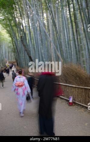 Abbinalo all'abito tradizionale giapponese a piedi accanto alla foresta di bambù di Arashiyama. Sfocatura dell'immagine per suggerire il movimento. Kyoto. Giappone. Foto Stock