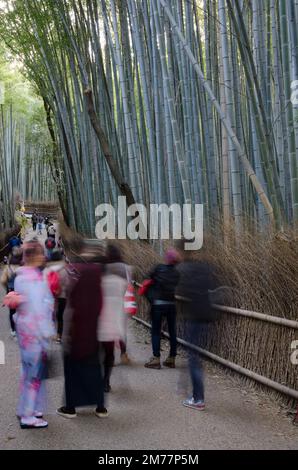 Kyoto, 12 dicembre 2017: Persone che si spostano accanto alla foresta di bambù di Arashiyama. Giappone. Foto Stock