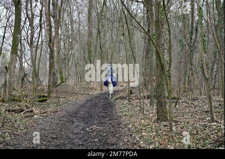Vienna, Austria. Donna cavalca nel Prater di Vienna Foto Stock