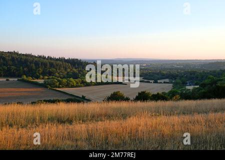 Viste da Pewley giù a Guildford, Surrey durante la siccità estiva del 2021. Foto Stock