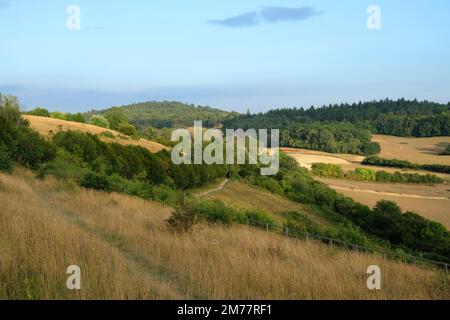 Viste da Pewley giù a Guildford, Surrey durante la siccità estiva del 2021. Foto Stock