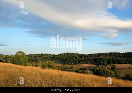 Viste da Pewley giù a Guildford, Surrey durante la siccità estiva del 2021. Foto Stock