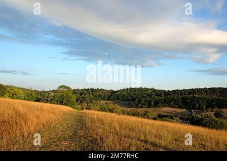 Viste da Pewley giù a Guildford, Surrey durante la siccità estiva del 2021. Foto Stock