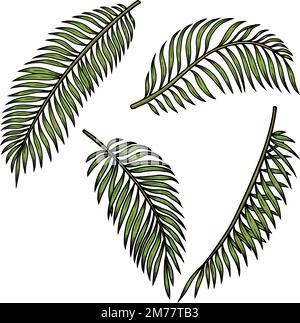 Set di illustrazioni di foglie tropicali. Elemento di design per poster, emblema, banner, cartello, t-shirt. Illustrazione vettoriale Illustrazione Vettoriale