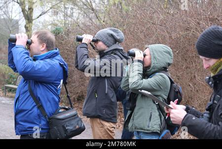 Lipsia, Germania. 08th Jan, 2023. I partecipanti a un conteggio di uccelli guardano attraverso binocoli in un parco. Gli osservatori di uccelli si riuniscono per il "conte di uccelli invernali" organizzato dall'Unione tedesca per la conservazione della natura e della biodiversità (NABU). Nell'azione partecipativa a livello nazionale, le persone interessate sono chiamate a contare gli uccelli nelle aree urbane per un'ora e a segnalarli a Nabu. Credit: Sebastian Willnow/dpa/Alamy Live News Foto Stock