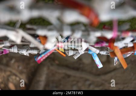 Una sfilata che racconta la fortuna al primo piano del Santuario di Tomioka Foto Stock