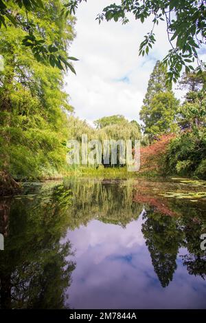 Il lago nei Giardini Botanici di Cambridge Foto Stock