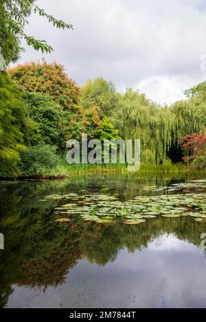 Il lago nei Giardini Botanici di Cambridge Foto Stock