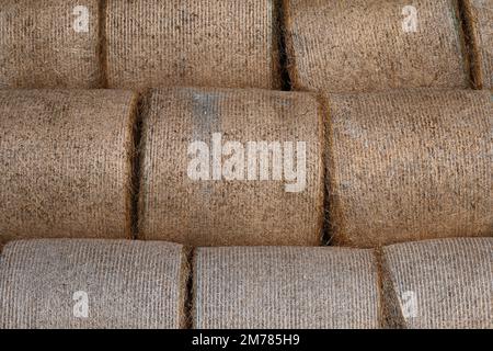 Balle di fieno rotonde impilate organizzate in modo ordinato per il deposito in fienile Foto Stock