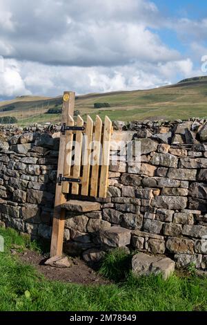 Muro di pietra a secco di recente costruzione con un cancello costruito su un sentiero pubblico a Wensleydale, nello Yorkshire Dales National Park, Regno Unito. Foto Stock