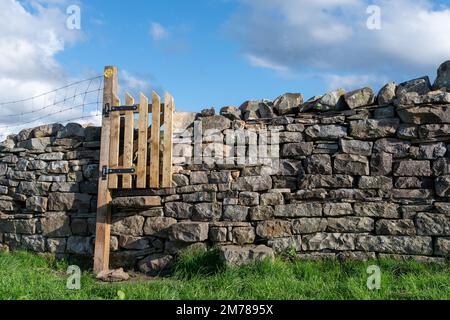 Muro di pietra a secco di recente costruzione con un cancello costruito su un sentiero pubblico a Wensleydale, nello Yorkshire Dales National Park, Regno Unito. Foto Stock