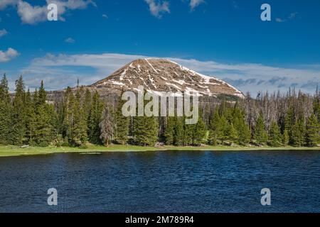 Lilly Lake, Mount Watson, Mirror Lake Scenic Byway, Uinta Mountains, Uinta Wasatch cache National Forest, Utah, USA Foto Stock