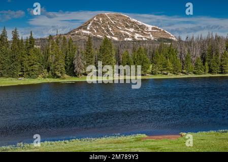 Lilly Lake, Mount Watson, Mirror Lake Scenic Byway, Uinta Mountains, Uinta Wasatch cache National Forest, Utah, USA Foto Stock