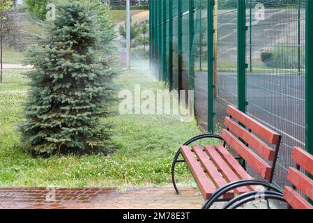 Annaffiatura automatica di prati e piante nel parco. annaffiatoio abeti nella zona ricreativa del parco cittadino. Foto Stock