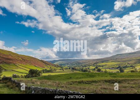 Upper Swaledale, Yorkshire Dales National Park Foto Stock