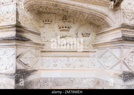 Dettagli di un bassorilievo del Castello reale di Blois. La salamandra era il simbolo del re Francesco il primo. Foto Stock