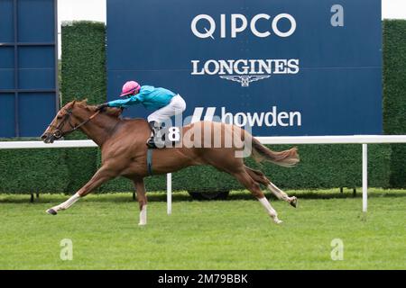 Ascot, Berkshire, Regno Unito. 6th maggio, 2022. Horse Many A Star cavalcata dal jockey Mohammed Tabti vince gli Eventi a Ascot handicap Stakes. Proprietario Phoebe Hobby. Allenatore Paul e Oliver Cole, Whatcombe. T Stack allevatore. Sponsor Brighttwalton Stud. Credito: Maureen McLean/Alamy Foto Stock