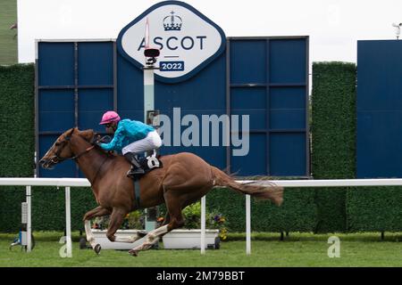 Ascot, Berkshire, Regno Unito. 6th maggio, 2022. Horse Many A Star cavalcata dal jockey Mohammed Tabti vince gli Eventi a Ascot handicap Stakes. Proprietario Phoebe Hobby. Allenatore Paul e Oliver Cole, Whatcombe. T Stack allevatore. Sponsor Brighttwalton Stud. Credito: Maureen McLean/Alamy Foto Stock