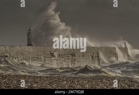 Newhaven, East Sussex, Regno Unito. 8th Jan, 2023. Brezza fresca dal sud-ovest, raffica a 40mph, frusta il mare in una frenesia al braccio ovest del porto, onde enormi a volte swamping il faro. Unseasonably caldo a 10 gradi C. Credit: David Burr/Alamy Live News Foto Stock