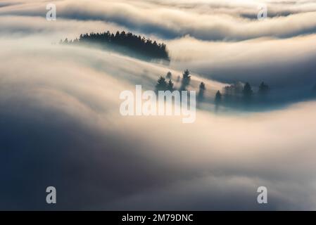 Splendido paesaggio, incredibile nebbia mattutina fluente con fascio di sole sulle pendici montane in Transilvania, Romania. Foto Stock