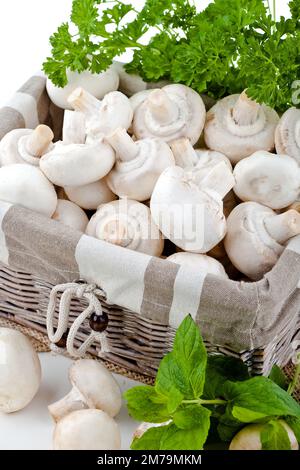 Funghi bianchi freschi impilati su fondo bianco con erbe fresche sullo sfondo Foto Stock