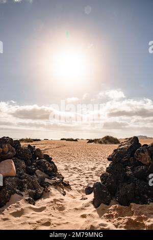 Alba, Costa, El Jable shifting sabbia zona dune, Las Dunas de Corralejo, Parque Natural de Corralejo, Fuerteventura, Isole Canarie, Spagna Foto Stock