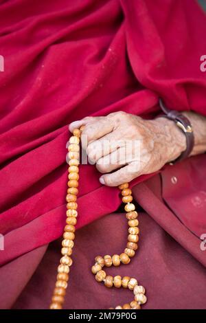 Monaco che tiene la catena di preghiera, monastero buddista giallo tappo Rizong o Rhizong o Yuma Changchubling, Ladakh, India Foto Stock