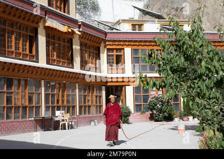 Monaco con tubo da giardino nel cortile del monastero, monastero buddista tappo giallo Rizong o Rhizong o Yuma Changchubling, Ladakh, India Foto Stock