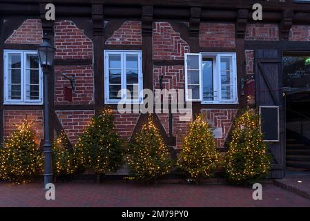 Alberi di Natale illuminati di fronte a una storica Witshaus, Lueneburg, bassa Sassonia, Germania Foto Stock
