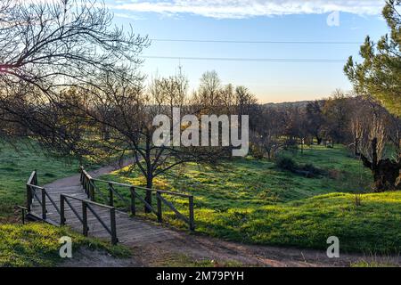 Sentieri nel parco di El Escorial all'alba Foto Stock