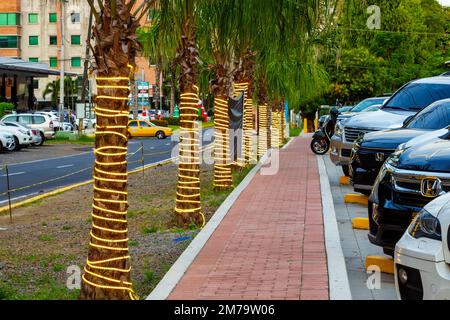 alberi del parco illuminati sul marciapiede del parcheggio Foto Stock