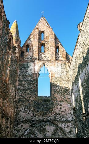 Rosa coeli, rovine della chiesa e del monastero, Dolni Kounice vicino alla città di Ivancice, Moravia meridionale, Repubblica Ceca Foto Stock