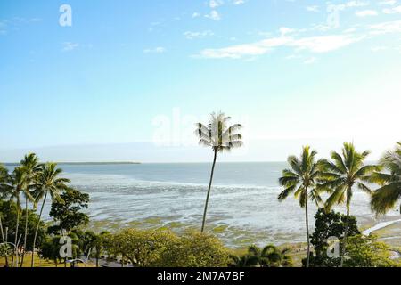 Cieli azzurri e palme ondeggianti sulle fangose pianure di Cairns Esplanade — Coral Sea, Cairns; far North Queensland, Australia Foto Stock