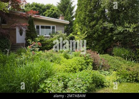 Cortile anteriore giardino ornamentale biologico e la facciata della casa in tarda primavera. Foto Stock