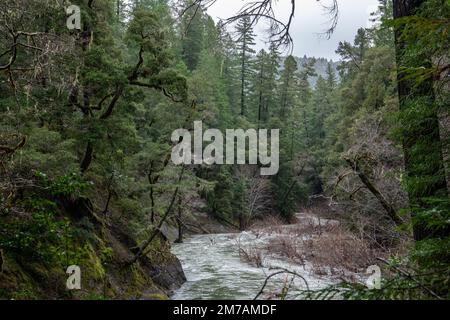 La diramazione sud del fiume Eel scorre attraverso splendide colline boscose nella natura selvaggia della California settentrionale nella contea di Mendocino, USA. Foto Stock