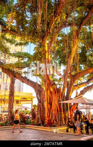 Honolulu, Hawaii - 2 gennaio 2023: Godetevi la tarda serata sul patio del famoso Moana Surfrider. Foto Stock