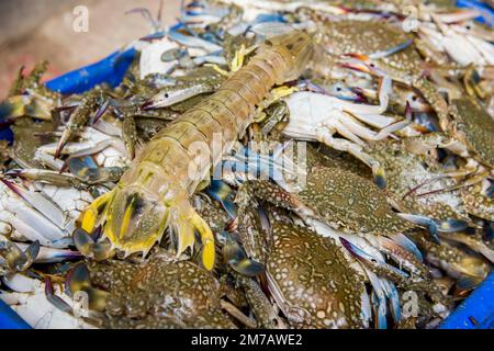 Mercato del pesce a Cox's BazarBangladesh Foto Stock