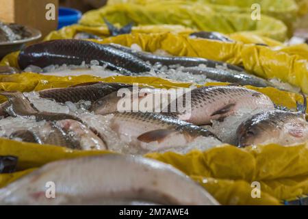 Mercato del pesce a Cox's BazarBangladesh Foto Stock