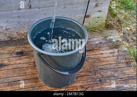 un secchio di plastica nera è riempito di acqua dalla pompa Foto Stock