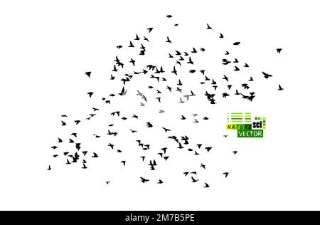 Un gregge di uccelli volanti. Uccelli liberi. Illustrazione vettoriale Illustrazione Vettoriale