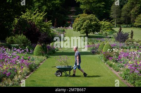 Foto del file datata 22/05/20 dei giardini che vengono curati alla RHS Harlow Carr nel North Yorkshire, in quanto i funzionari intensificano il monitoraggio online del commercio di piante per impedire l'ingresso di parassiti e malattie nel paese, come parte di un nuovo piano d'azione fitosanitario. Foto Stock